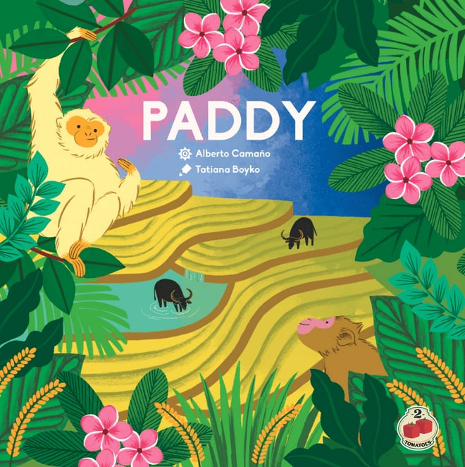 Paddy